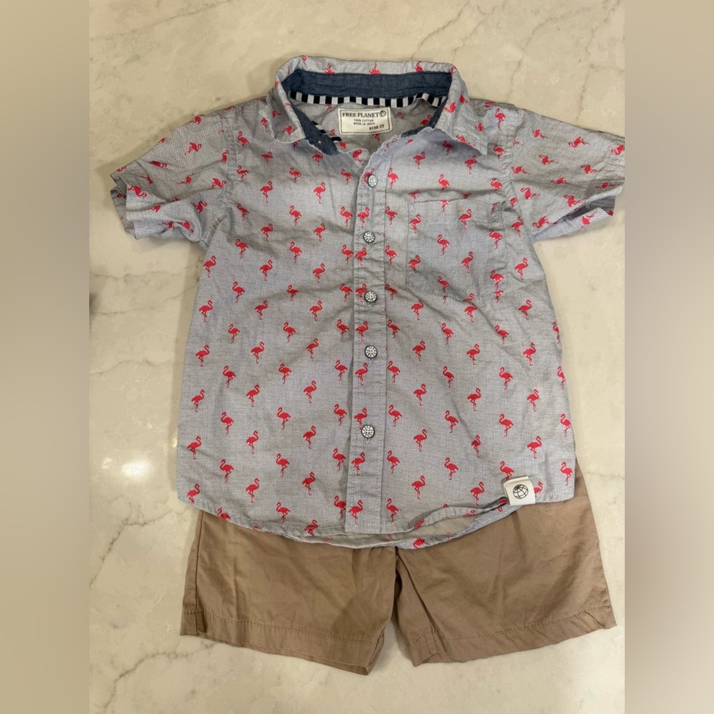 Kids Flamingo Print Shirt - Gray and Pink 2T